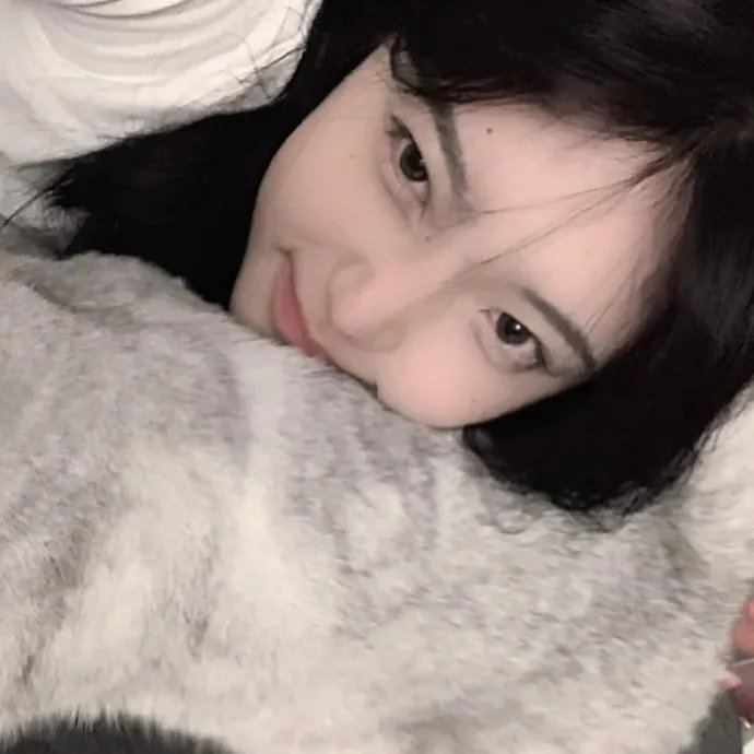 休赛期 在线观看